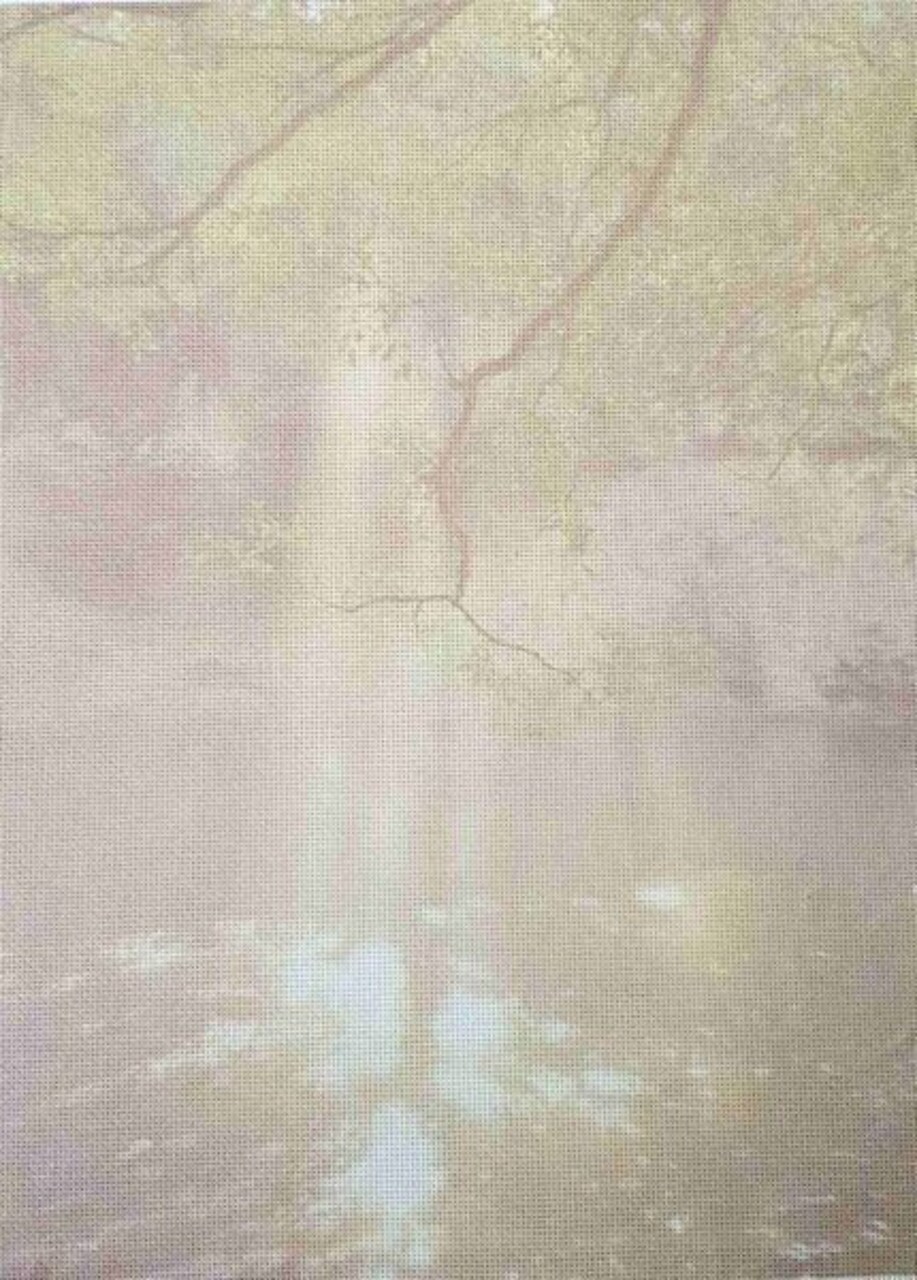 Gentle Vines Designer Printed AIDA Fabric. Canvas for embroidery with an applied background KF-1142A